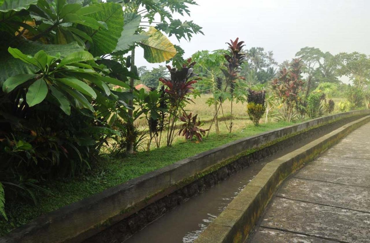 Candra Asri Bungalow อูบุด ภายนอก รูปภาพ